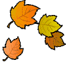 dried leaves