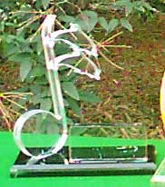 Dolphin Award