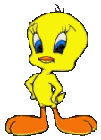 cliquez ici ... JEUX ... je suis Tweety ...