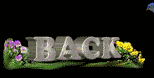 click here to go back to my Homepage
