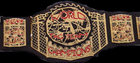 Click to view xWa Tag-Team Title History
