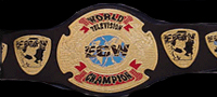 Click to view TWF TV Title History