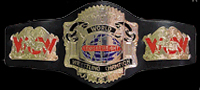 TWF Cruiserweight Championship