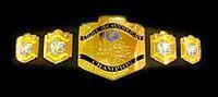 TWF Light Heavyweight Championship