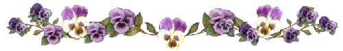 Pansies-Bar