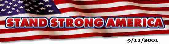 Stand Strong America Flag