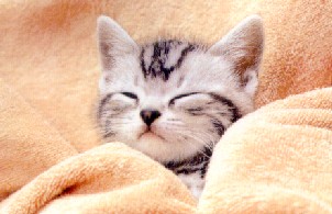 ڪ]!