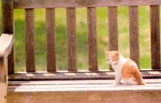 �y�����U��,�b�ȤW�ͤӶ�