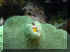 I'm so cold.jpg (45319 bytes)