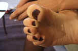 fist.jpg (35714 bytes)