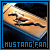 Mustang Fan