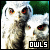 Owls Fan