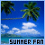 Summer Fan