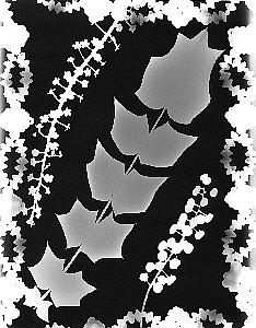 abstract photograph
