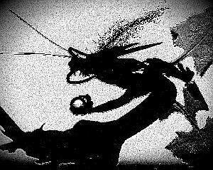 abstract photograph