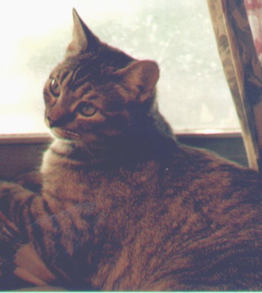 By the Window
