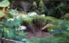 lush_garden.jpg (84065 bytes)