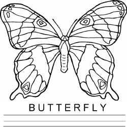 butterfly.jpg (120933 bytes)