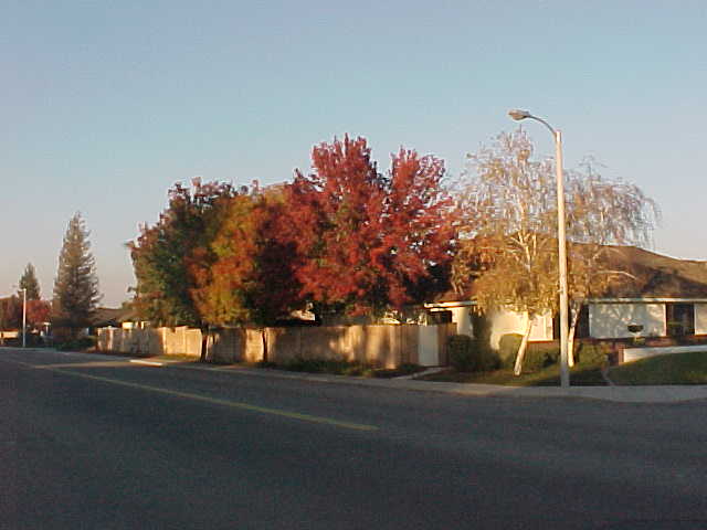 Hanford/hojo11.jpg - 28656 Bytes