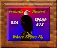 Scouts friendship award