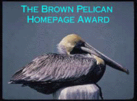 Brown Pelican award