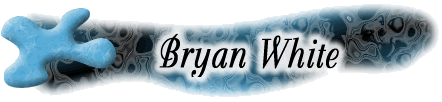 Bryan White