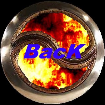 BacK To PicturE GallerY