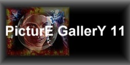 Picture Gallery 11