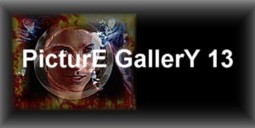 Picture Gallery 13