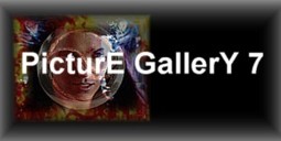 Picture Gallery 7