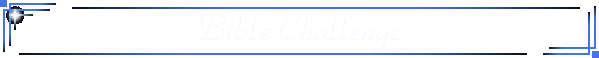 Bible Challenge