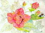 Bee and Flowers.