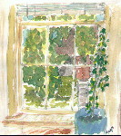 Apartment Window.
