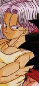 /user/Trunks.jpg