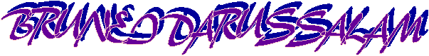 BRUNEI DARUSSALAM