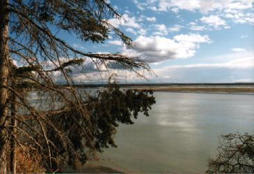 The mouth of the world famous Kenai River.