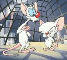 Are you pondering what I'm pondering?  Narf!