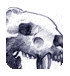 Sabertooth