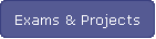 Exams & Projects
