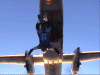 egexitan26.gif (130426 bytes)