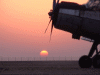 sunsetan2.gif (124365 bytes)