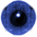 Por qu� un ojo? Por qu� 'Zona Corp.'?