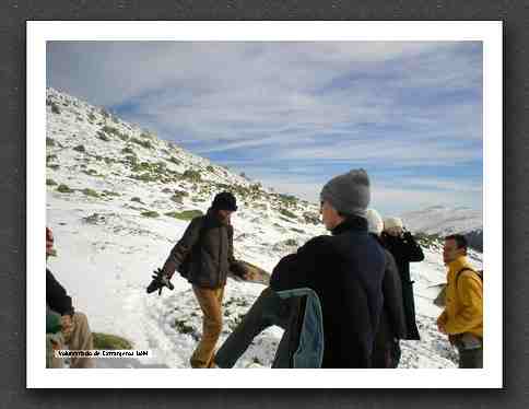 Excursion Sierra