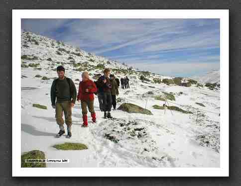 Excursion Sierra