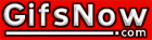 www.gifsnow.com