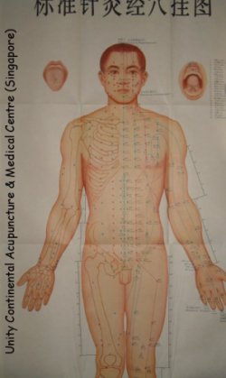 Acupoints
