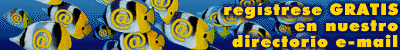 Solicita informacin de como tener tu web site.
