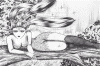 wpeFC.gif (183268 bytes)