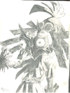 wpe14B.gif (76315 bytes)