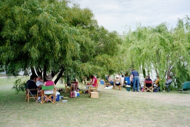 group under tree.jpg (104794 bytes)